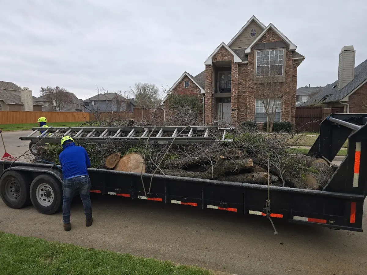 Expert Tree Pest Control with proper safety equipment in Ray City